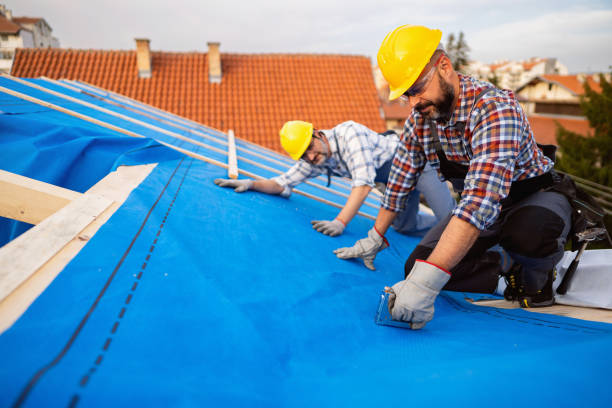 Best Metal Roofing Contractor  in Chicago, IL