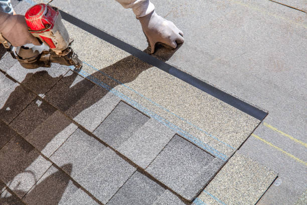 Best Metal Roofing Contractor  in Chicago, IL